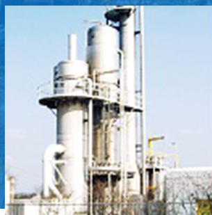 日皮软件免费脫硫