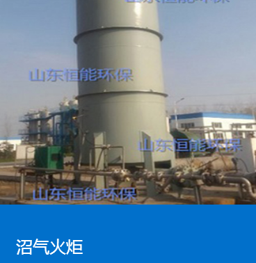 日皮软件免费脫硫